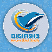 digifish3 digital marketing company india