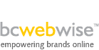 bcwebwise social media agency india