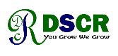 dscr group digital marketing company bhubaneswar