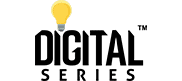 digitalseries digital marketing companies in chandigarh