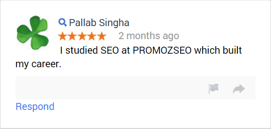 I studied SEO at PROMOZSEO which built my career.